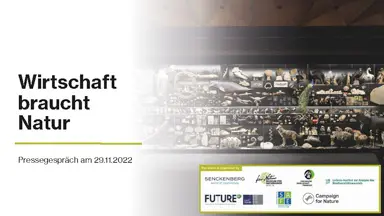 Wirtschaft braucht Natur